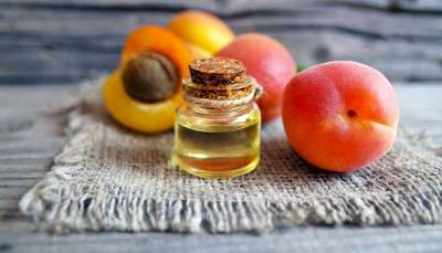 Conheça as principais frutas para o Natal
