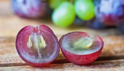 Conheça as principais frutas para o Natal