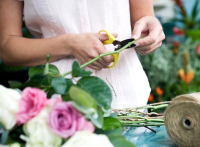 12 TRUQUES SIMPLES PARA TER FLORES LINDAS EM CASA