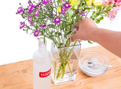 12 TRUQUES SIMPLES PARA TER FLORES LINDAS EM CASA