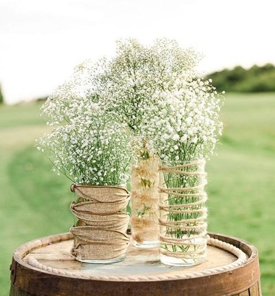 12 TRUQUES SIMPLES PARA TER FLORES LINDAS EM CASA