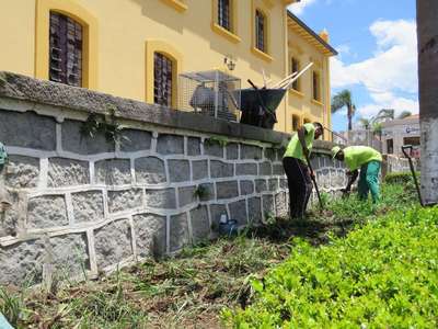 Jardim em torno da Matriz Ã© resultado de parceria com o Viveiro Porto Amazonas (VPA)