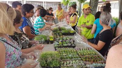Festival da Primavera 2017