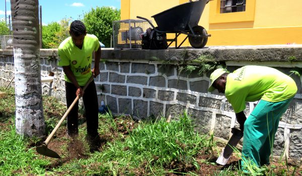 Jardim em torno da Matriz Ã© resultado de parceria com o Viveiro Porto Amazonas (VPA)