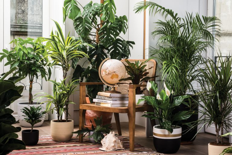 PLANTAS NO LOCAL DE TRABALHO