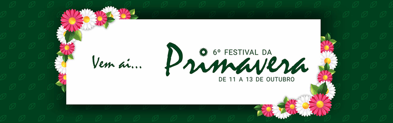 6Âº Festival da Primavera