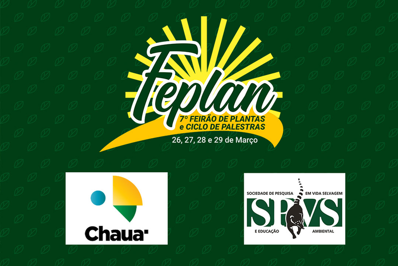 7Âº FEPLAN