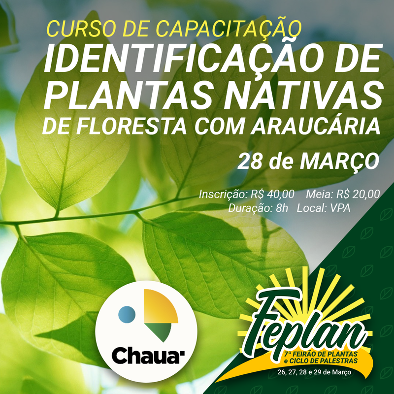 7Âº FEPLAN - Curso de CapacitaÃ§Ã£o