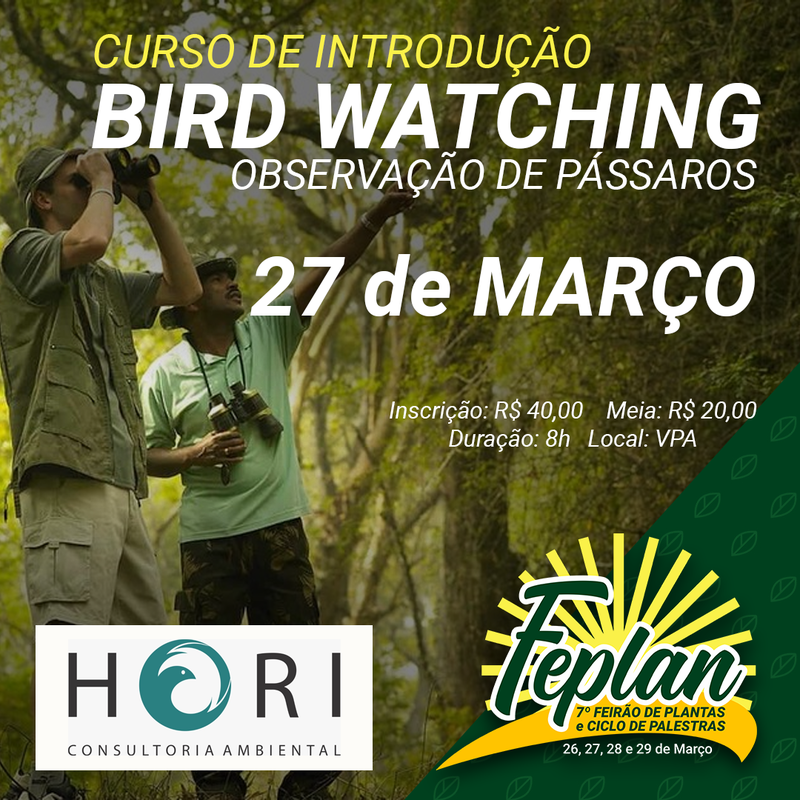 Curso Bird Watching
