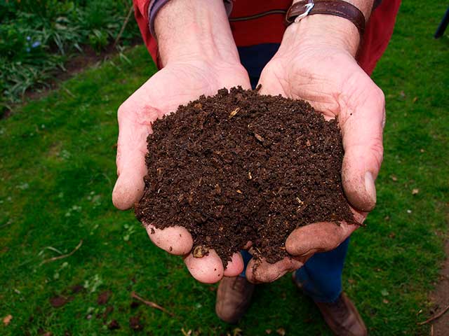 3  DICAS PARA UMA BOA ADUBAÃ‡ÃƒO DAS SUAS PLANTAS