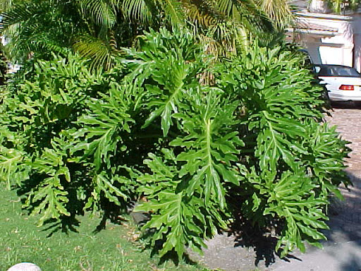 GuaimbÃª